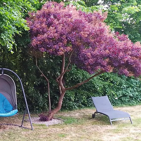 Chez Camille Et Pierre Bourgvallees